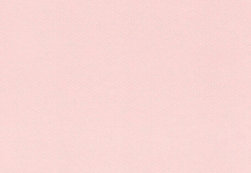 Обои Rasch Petit Fleur 4 289021