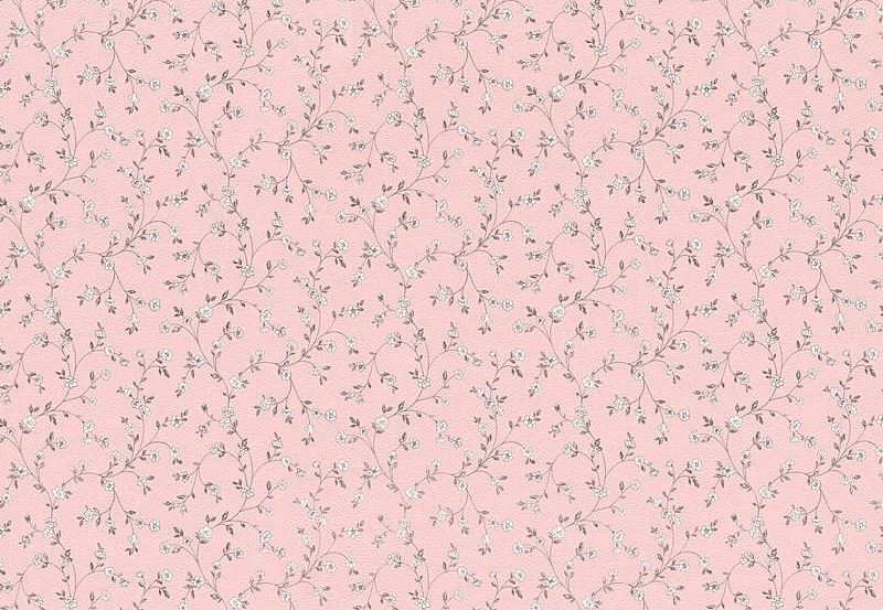 Обои Rasch Petit Fleur 4 289038