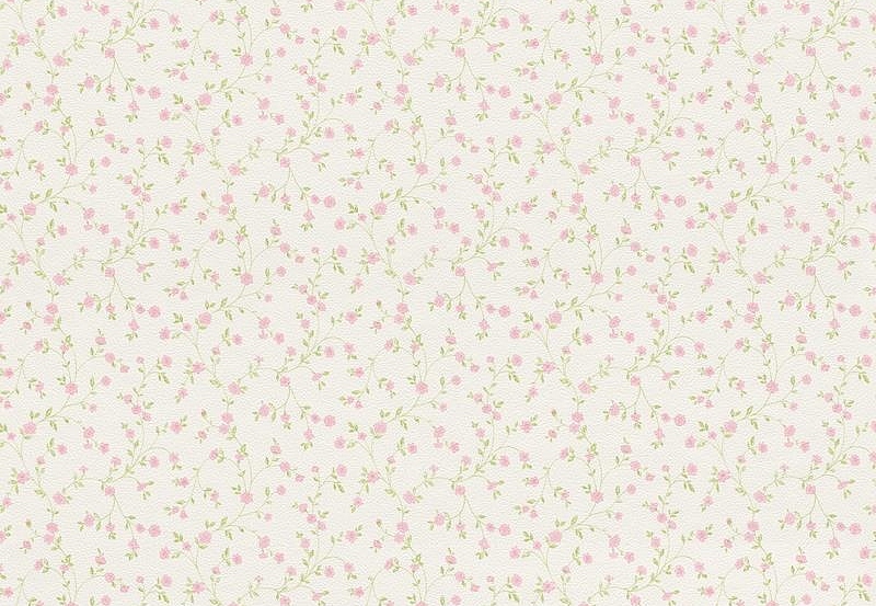 Обои Rasch Petit Fleur 4 289069