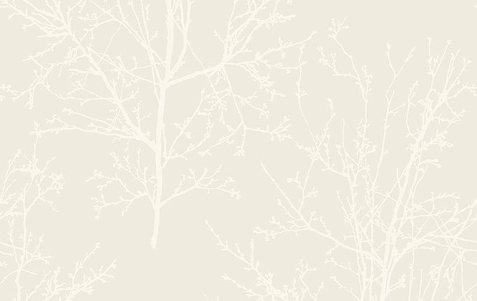 Немецкие обои KT-Exclusive, коллекция Mica (Pear Tree Studios), артикул UK11500
