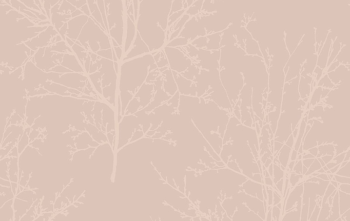 Немецкие обои KT-Exclusive, коллекция Mica (Pear Tree Studios), артикул UK11501