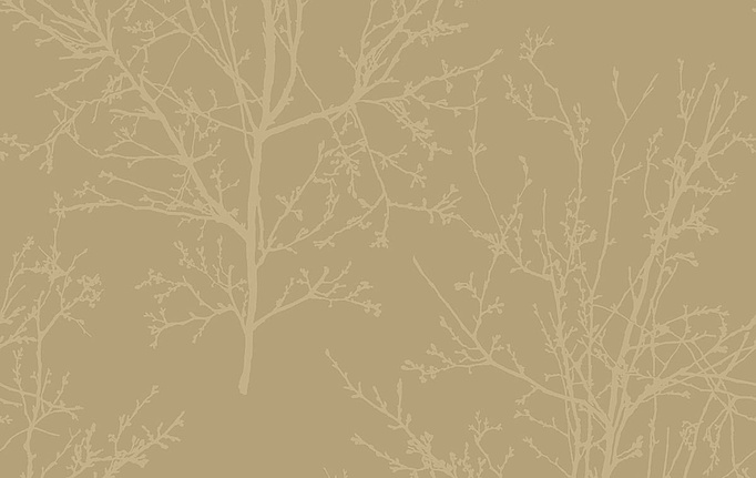 Немецкие обои KT-Exclusive, коллекция Mica (Pear Tree Studios), артикул UK11503