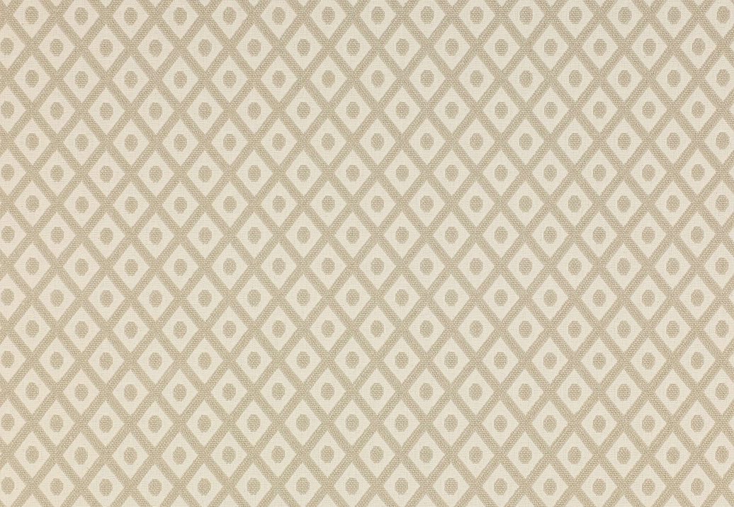Ткань Colefax and Fowler Alberry F3916/01