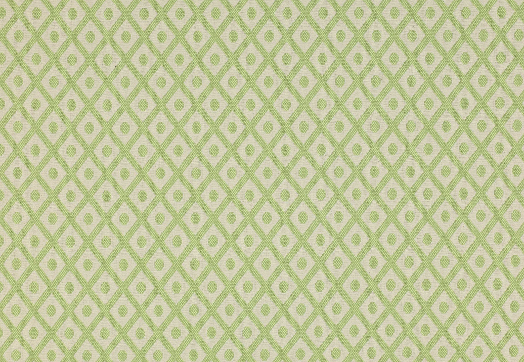 Ткань Colefax and Fowler Alberry F3916/03