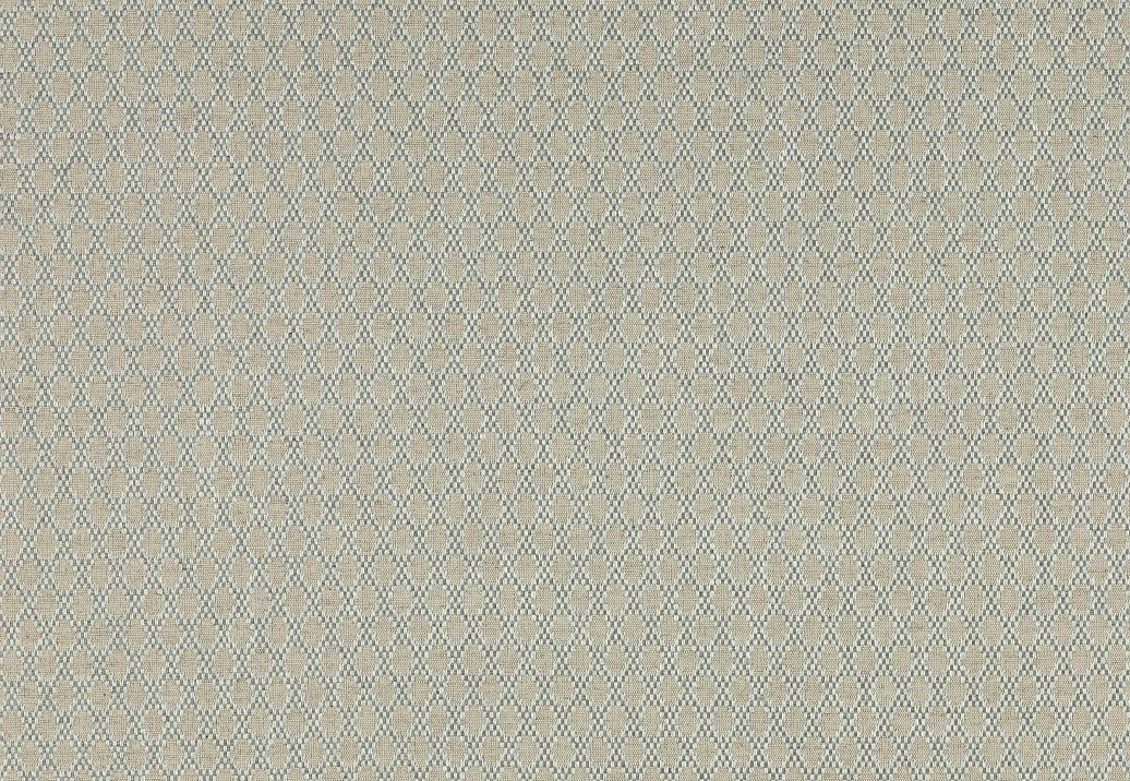 Ткань Colefax and Fowler Alberry F3921/07