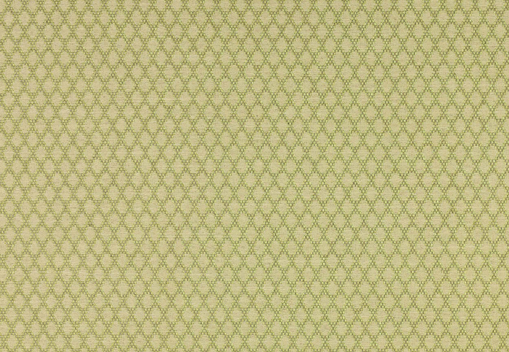 Ткань Colefax and Fowler Alberry F3921/03