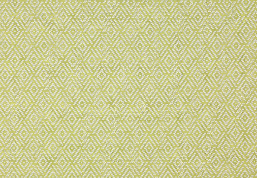 Ткань Colefax and Fowler Alberry F3915/05