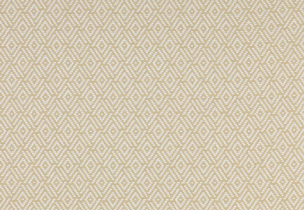 Ткань Colefax and Fowler Alberry F3915/06