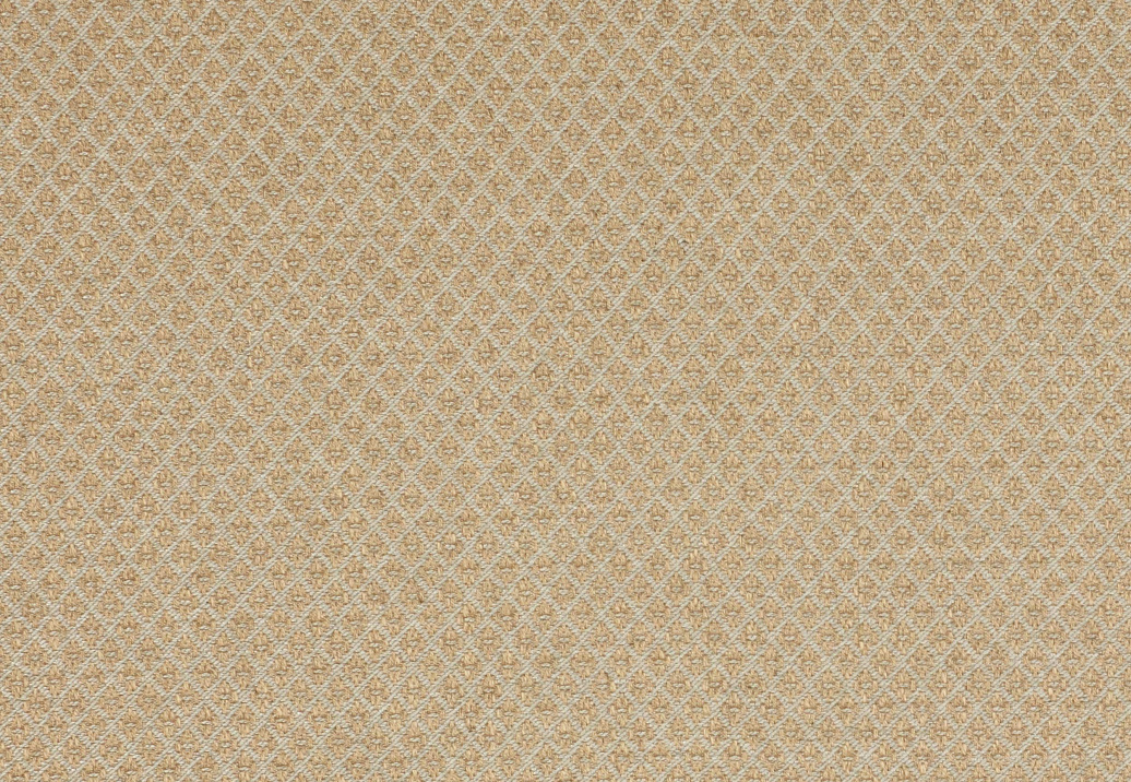 Ткань Colefax and Fowler Amersham F3624/07