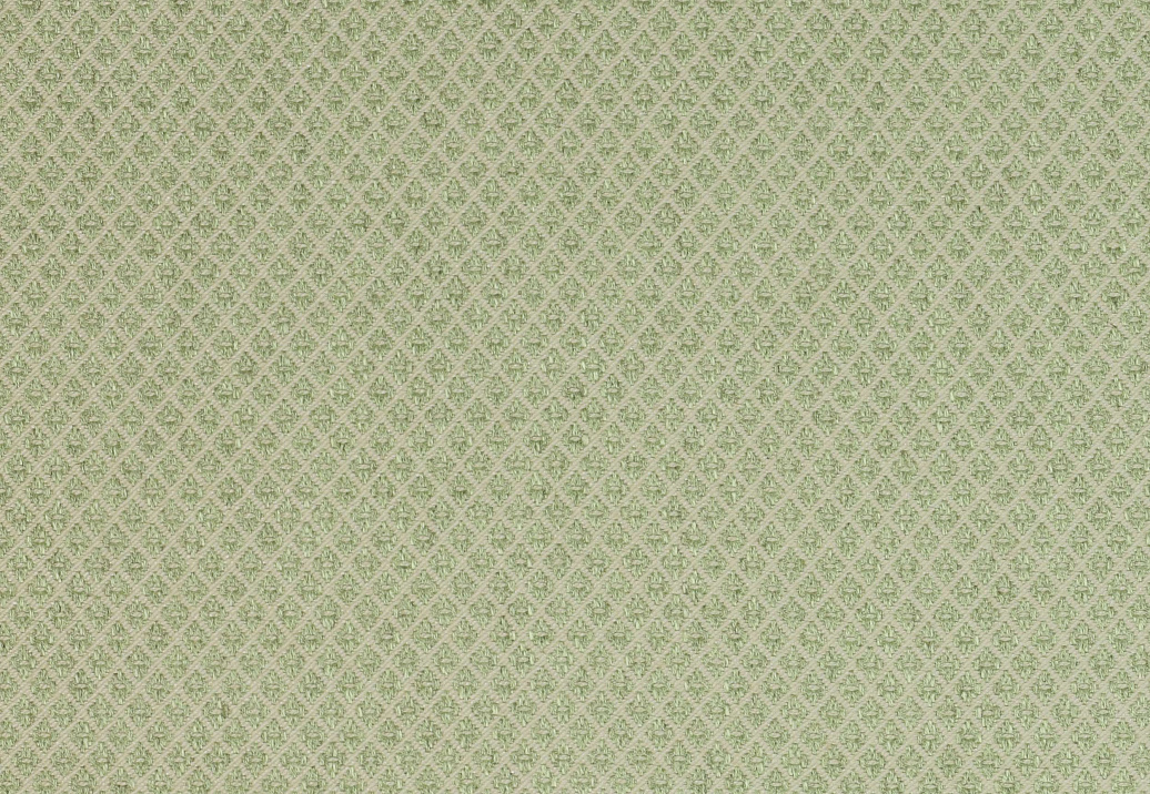Ткань Colefax and Fowler Amersham F3624/06