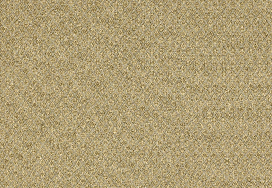 Ткань Colefax and Fowler Amersham F3624/05