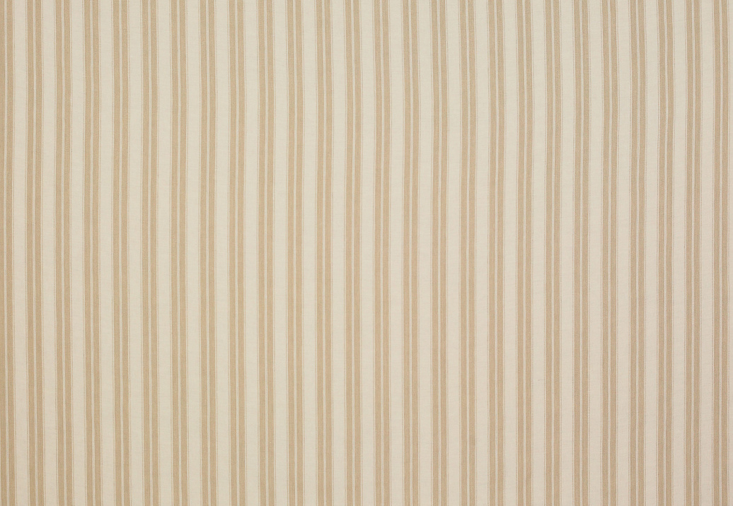 Ткань Colefax and Fowler Appledore F4141/01