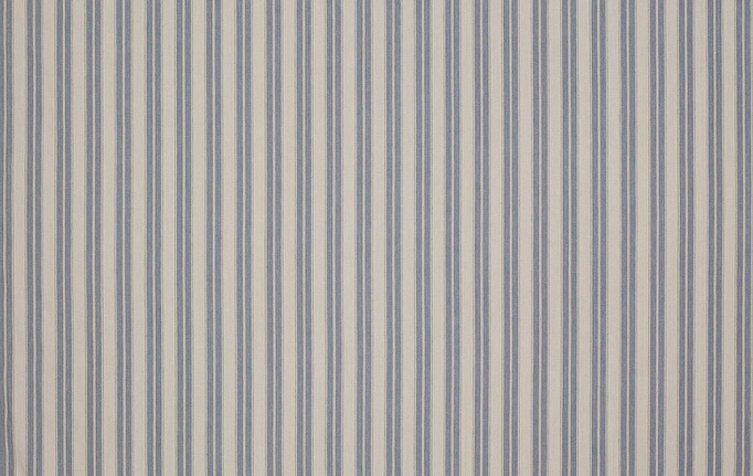 Английская ткань Colefax and Fowler, коллекция Appledore, артикул F4141/04