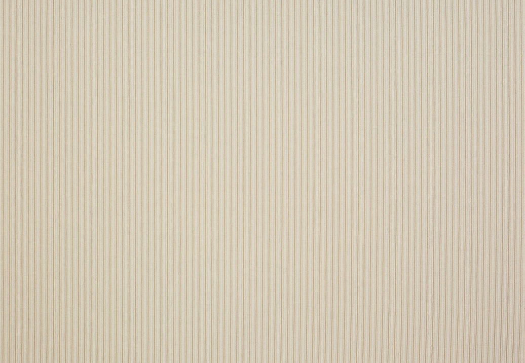 Ткань Colefax and Fowler Appledore F4142/01