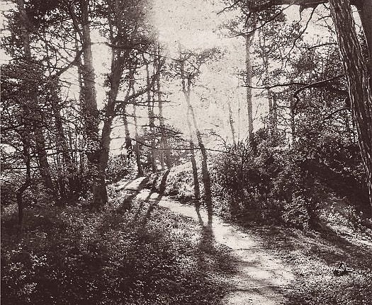Панно и фотообои Eijffinger Lino 379100