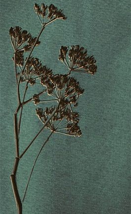 Панно и фотообои Eijffinger Lino 379104