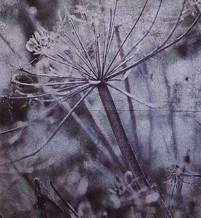 Панно и фотообои Eijffinger Lino 379106