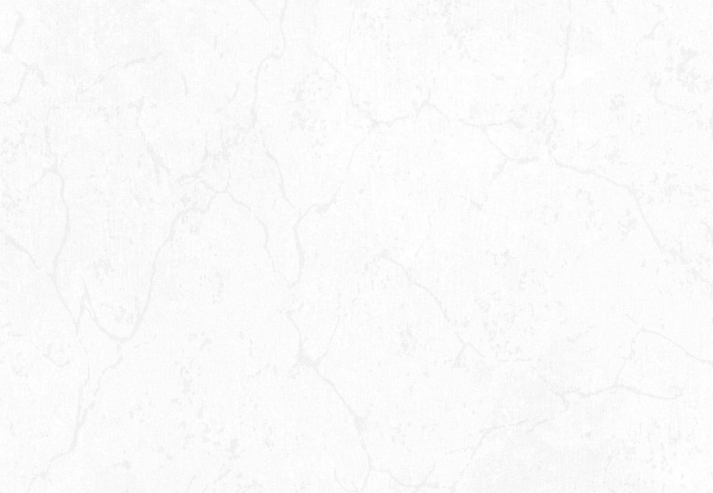 Обои Hohenberger Minera 64073