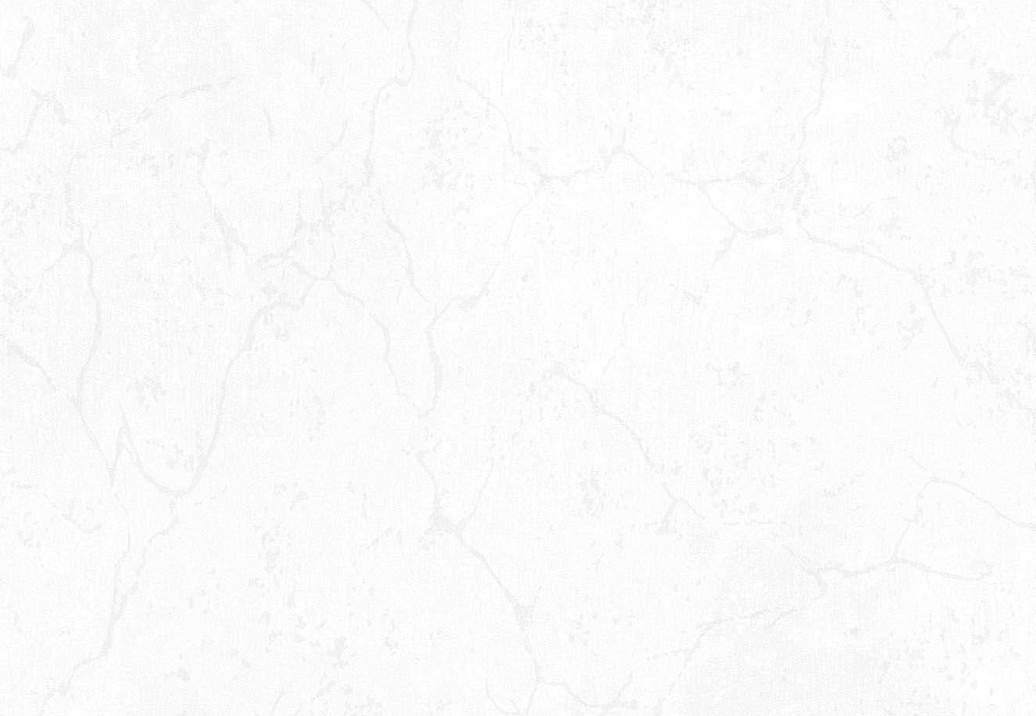 Обои Hohenberger Minera 64073
