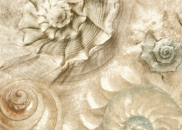 Обои York Carey Lind - Coastal Calm CM3345