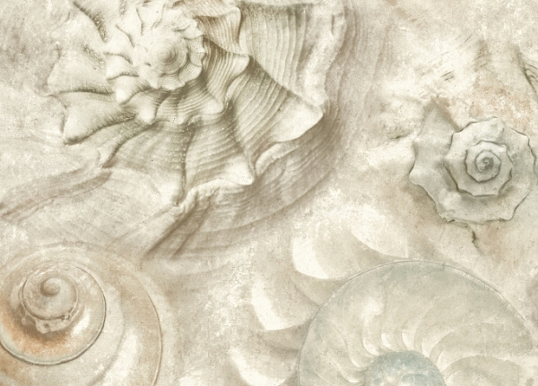 Обои York Carey Lind - Coastal Calm CM3347