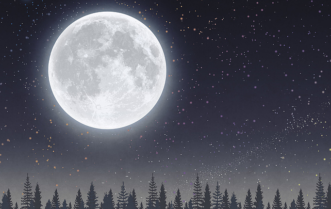 Российские панно и фотообои Ortograf, коллекция Бесшовные обои и фрески ECO, артикул 34864