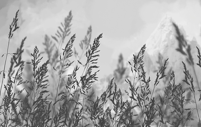 Российские панно и фотообои Ortograf, коллекция Бесшовные обои и фрески ECO, артикул 34993