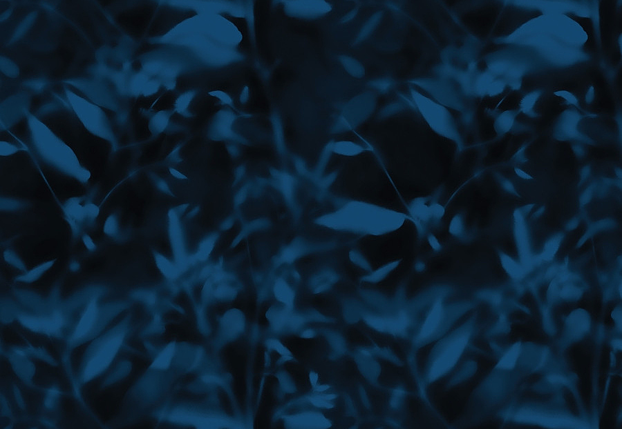Обои Innovations Curated MNF-05