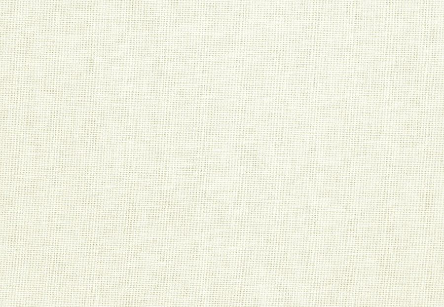 Ткань Trend Wilshire Linen Multipurpose 01838/Coconut