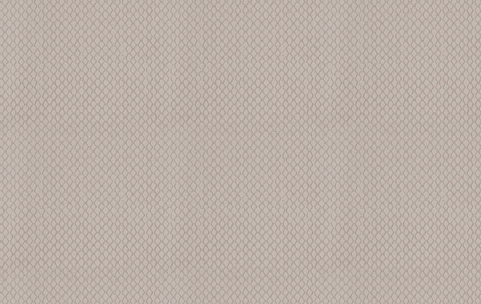 Американская ткань Trend, коллекция Silver-Ash Prints & Wovens Vol.VI, артикул 03653/Grey