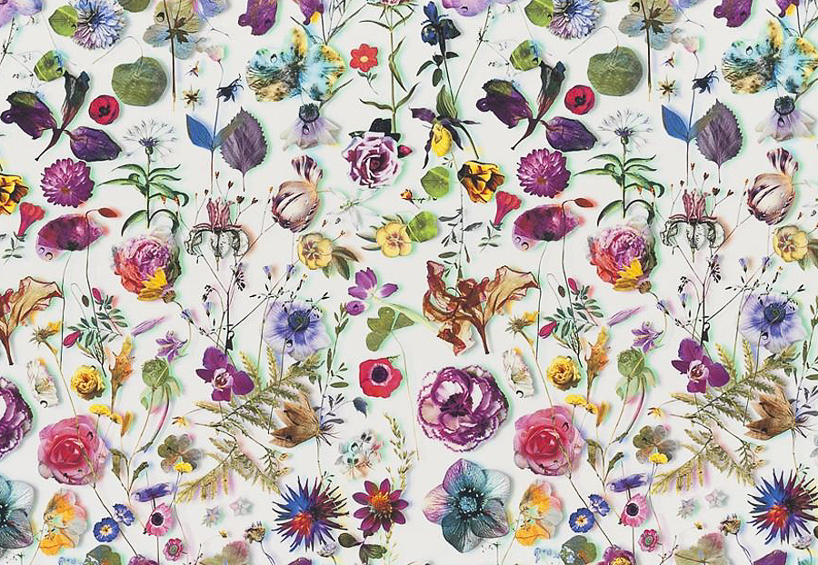 Ткань Christian Lacroix Histoires Naturalles FCL7023/02
