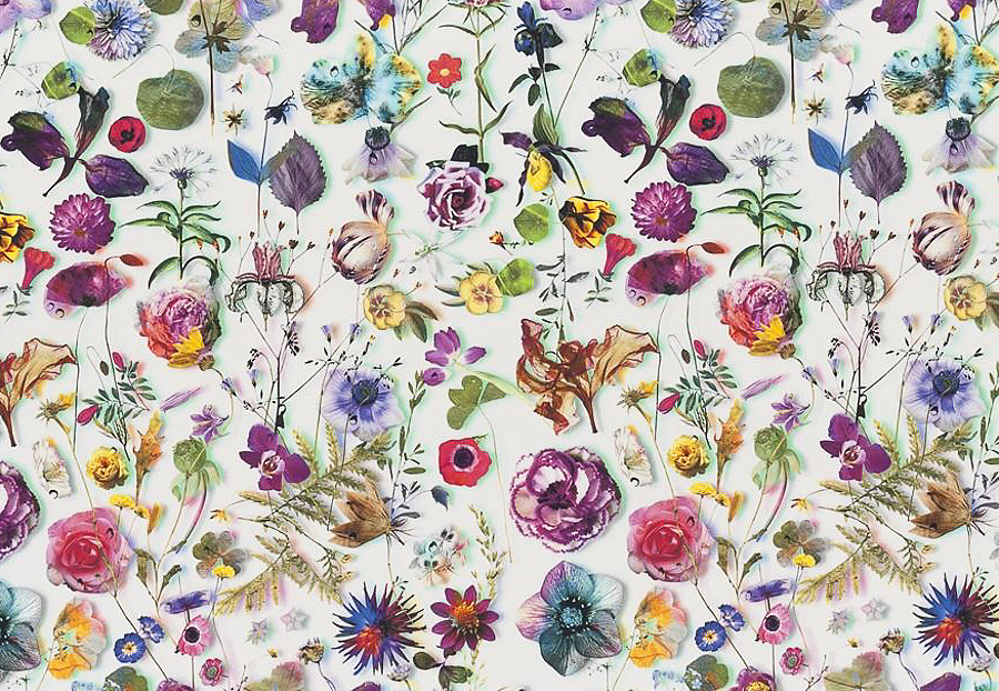 Ткань Christian Lacroix Histoires Naturalles FCL7023/02