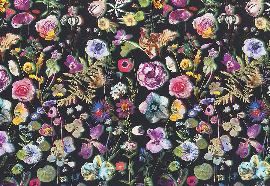 Ткань Christian Lacroix Histoires Naturalles FCL7023/01