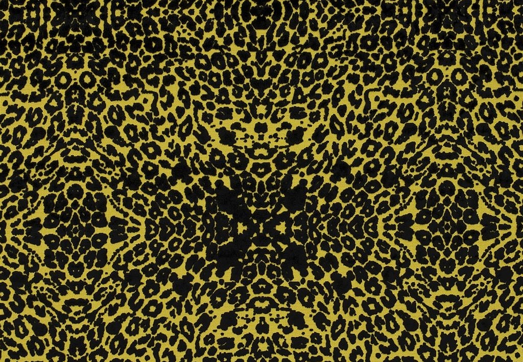 Ткань Christian Lacroix Belles Rives Prints And Weaves FCL050/01