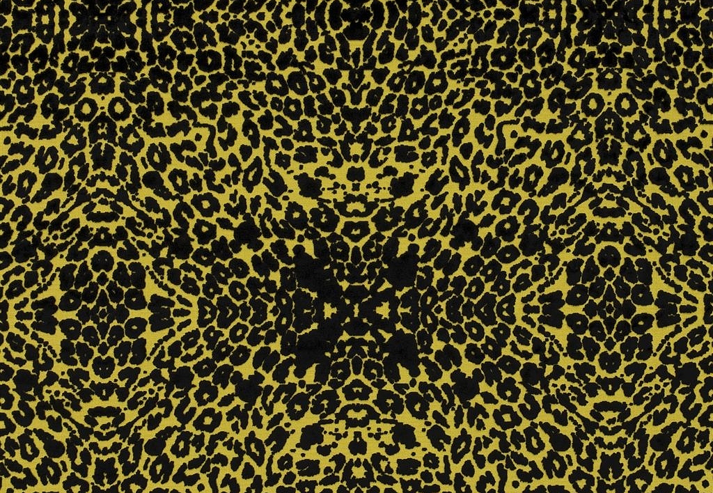 Ткань Christian Lacroix Belles Rives Prints And Weaves FCL050/01