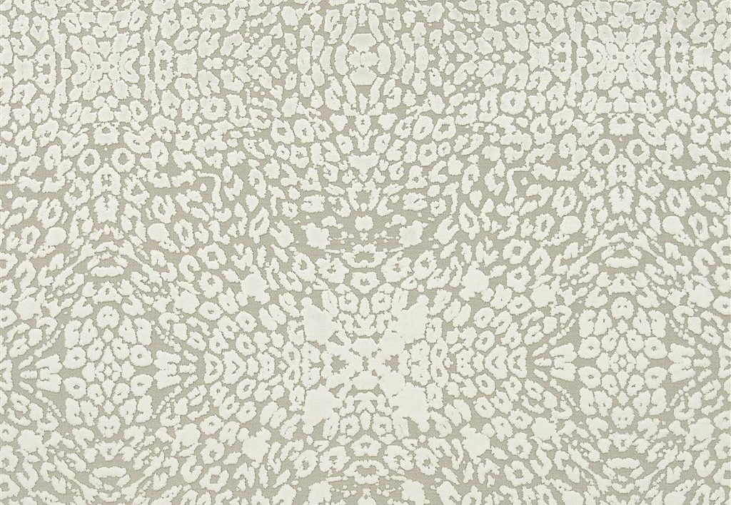 Ткань Christian Lacroix Belles Rives Prints And Weaves FCL050/02