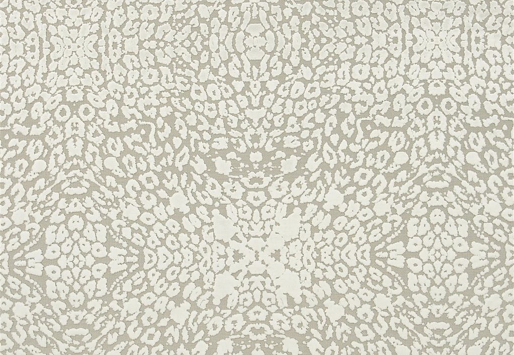 Ткань Christian Lacroix Belles Rives Prints And Weaves FCL050/02