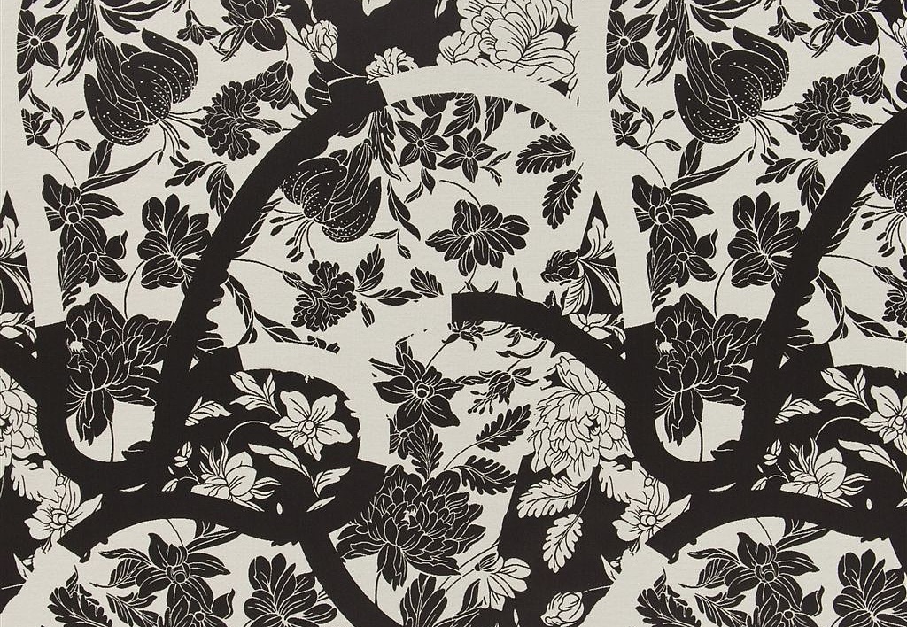 Ткань Christian Lacroix Belles Rives Prints And Weaves FCL046/01
