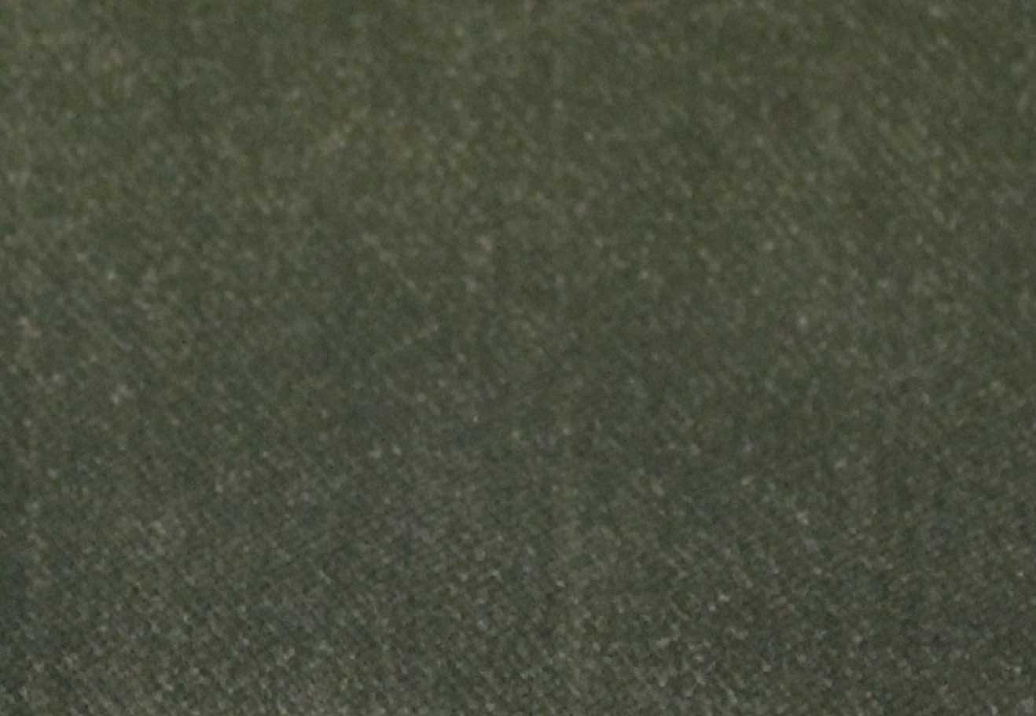 Ткань Alessandro Bini Campus Leaf NF079/2086