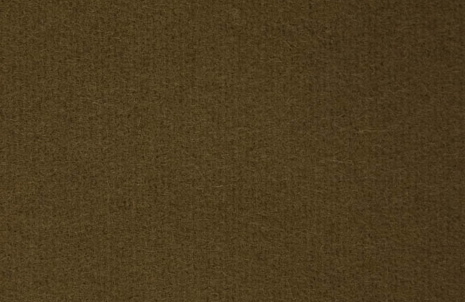Ткань Alessandro Bini Shetland G137/H470