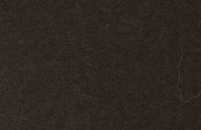 Ткань Alessandro Bini Shetland G137/0429