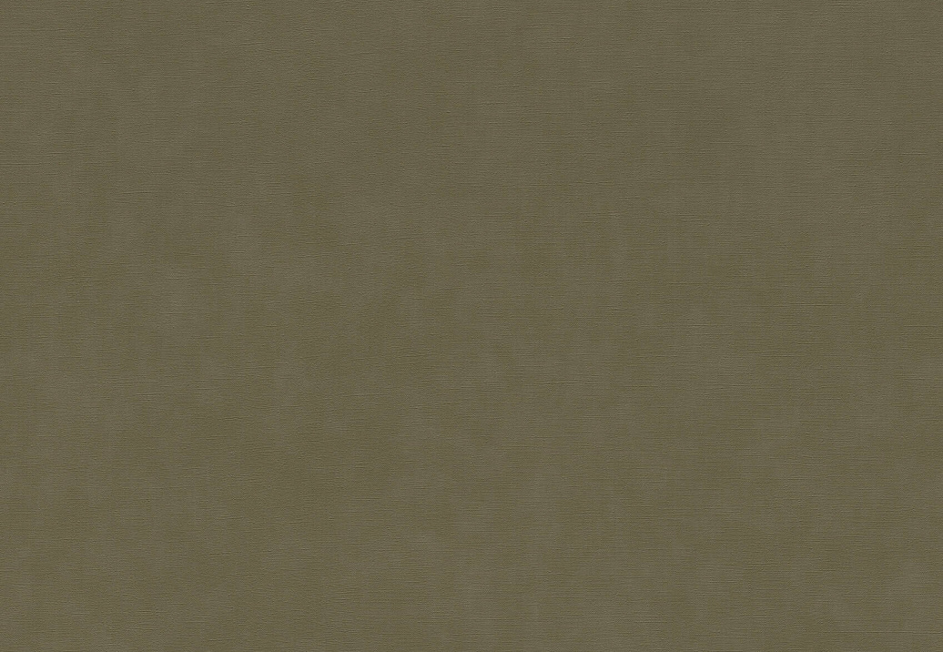 Обои Rasch Paraiso 330120