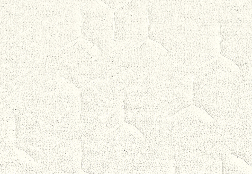 Обои Texdecor Acoustic Vinyl Wallcoverings 2 PFYE91029106