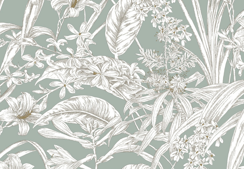 Обои York Toiles Resource Library RT7882