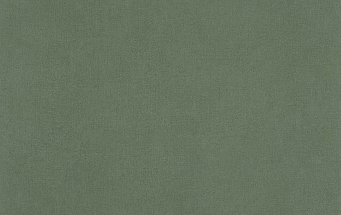 Французские обои Caselio, коллекция Outlines, артикул OTLS64524044