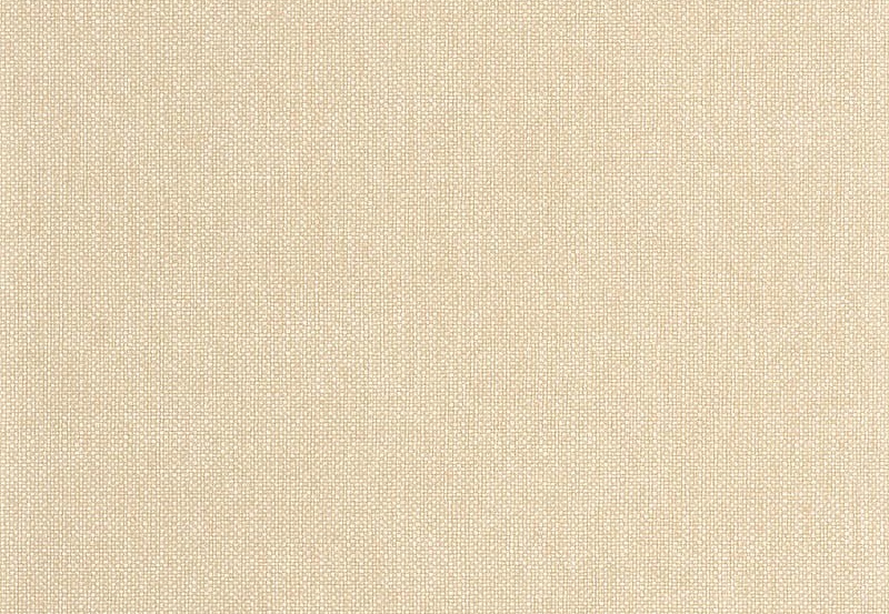Обои Caselio Damier DAI104991300