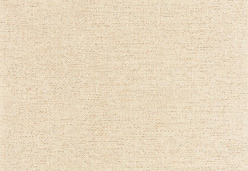 Обои Caselio Damier DAI105001136