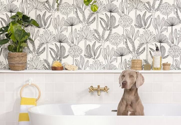 Обои Caselio Stay Wild WILD104930981