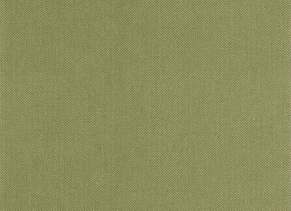 Обои Caselio Stay Wild WILD104997414