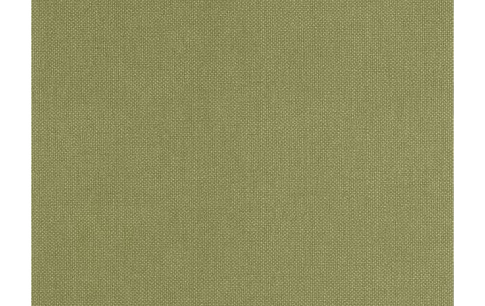 Французские обои Caselio, коллекция Stay Wild, артикул WILD104997414